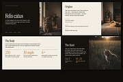 Understory Editorial Deck Template, a Presentation Template by Uno Creative Studio (Thumbnail 2 of 10)