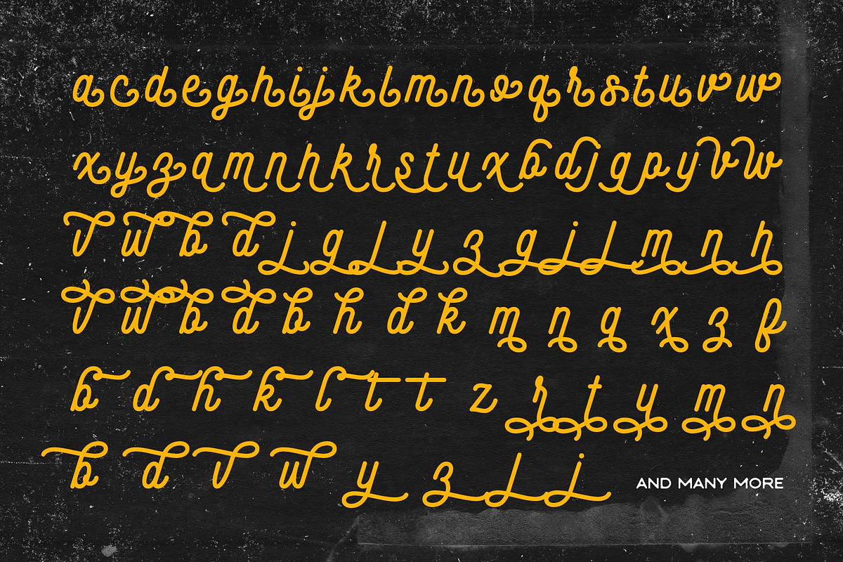 Monoline Script - Shadenia, a Script Font by Novitype (Photo 13 of 13)