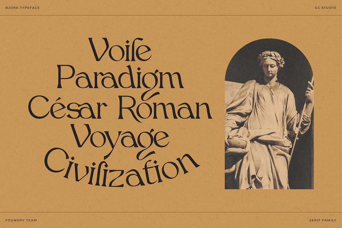 Bjork Serif, a Serif Font by CCS-Type.com (Photo 14 of 30)