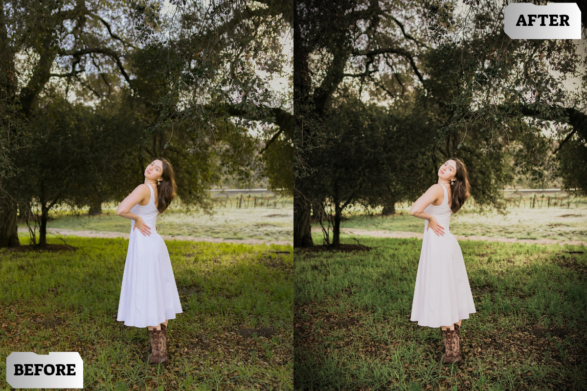 Flash Film Lightroom Presets, a Preset Add-On by ARTSYNO (Photo 4 of 4)