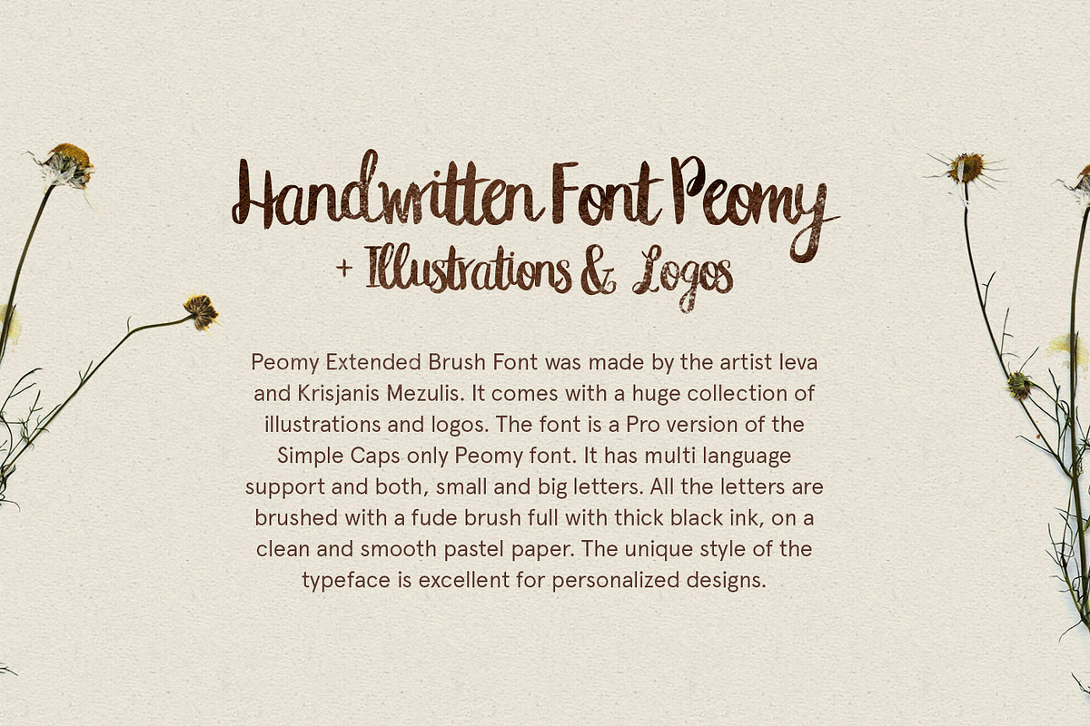 Peomy Extended Font & Illustrations, a Script Font by Wild Ones (Photo 3 of 13)