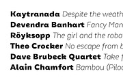 Chamfort Family, a Sans Serif Font by Hederae Type Foundry (Thumbnail 5 of 10)