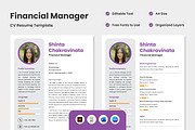 CV Resume Financial Manager V2, a Resume Template by productype1 (Thumbnail 1 of 3)
