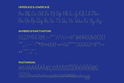 CS Selma Dashed, a Script Font by Craft Supply Co. (Thumbnail 8 of 8)
