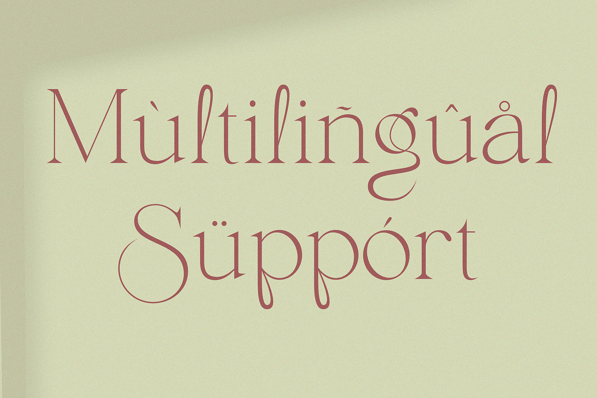 Envegas, a Serif Font by Sealoung (Photo 9 of 16)