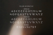 Foliar - Thin Line Logo Font, a Sans Serif Font by Struvictory.art (Thumbnail 3 of 9)