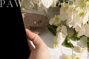 Device Mockup Phone BGF, an iPhone Mockup by PawMockups (Thumbnail 4 of 10)