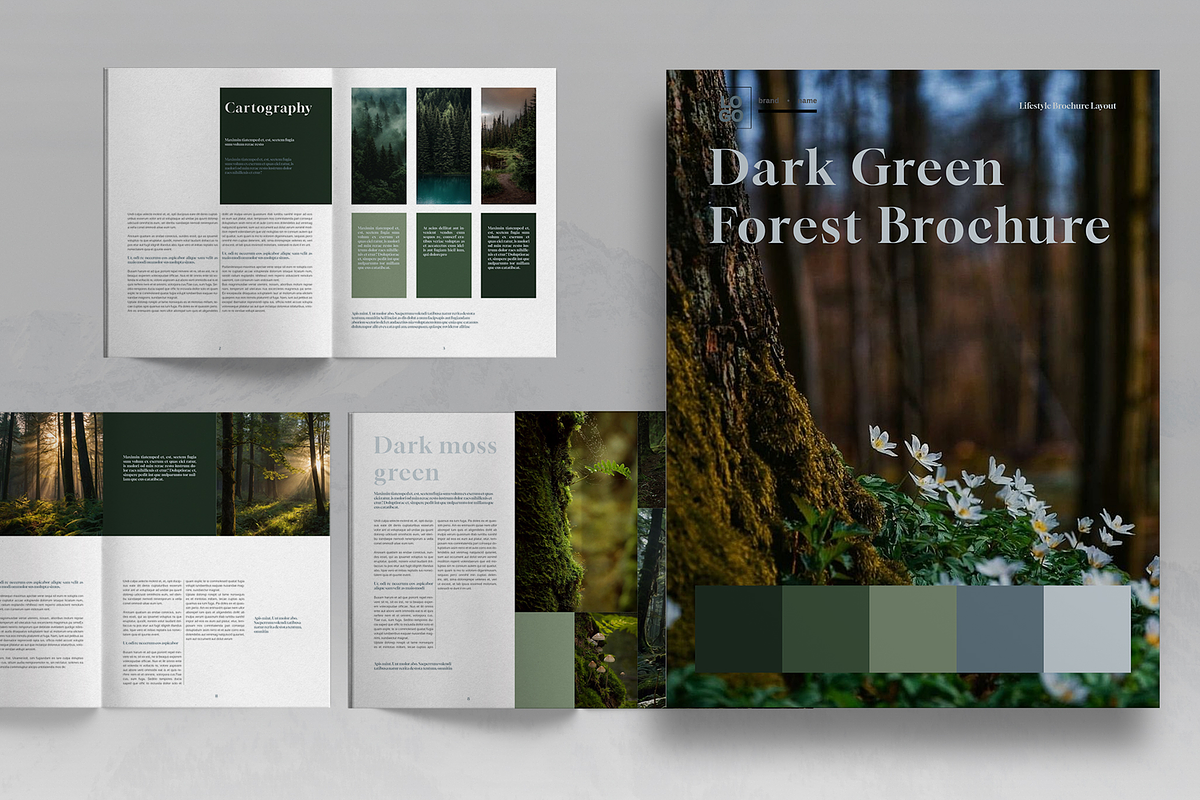Dark Green Forest Brochure Template, a Brochure Template by Boris Cupac (Photo 1 of 7)