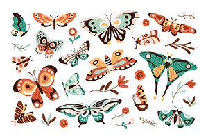 Pretty Exotic Butterflies, Moths Set