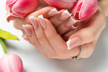 Woman holding pink tulips showing french manicure on white backg