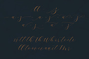 Emeline Script Font, a Script Font by Deeezy (Thumbnail 6 of 7)