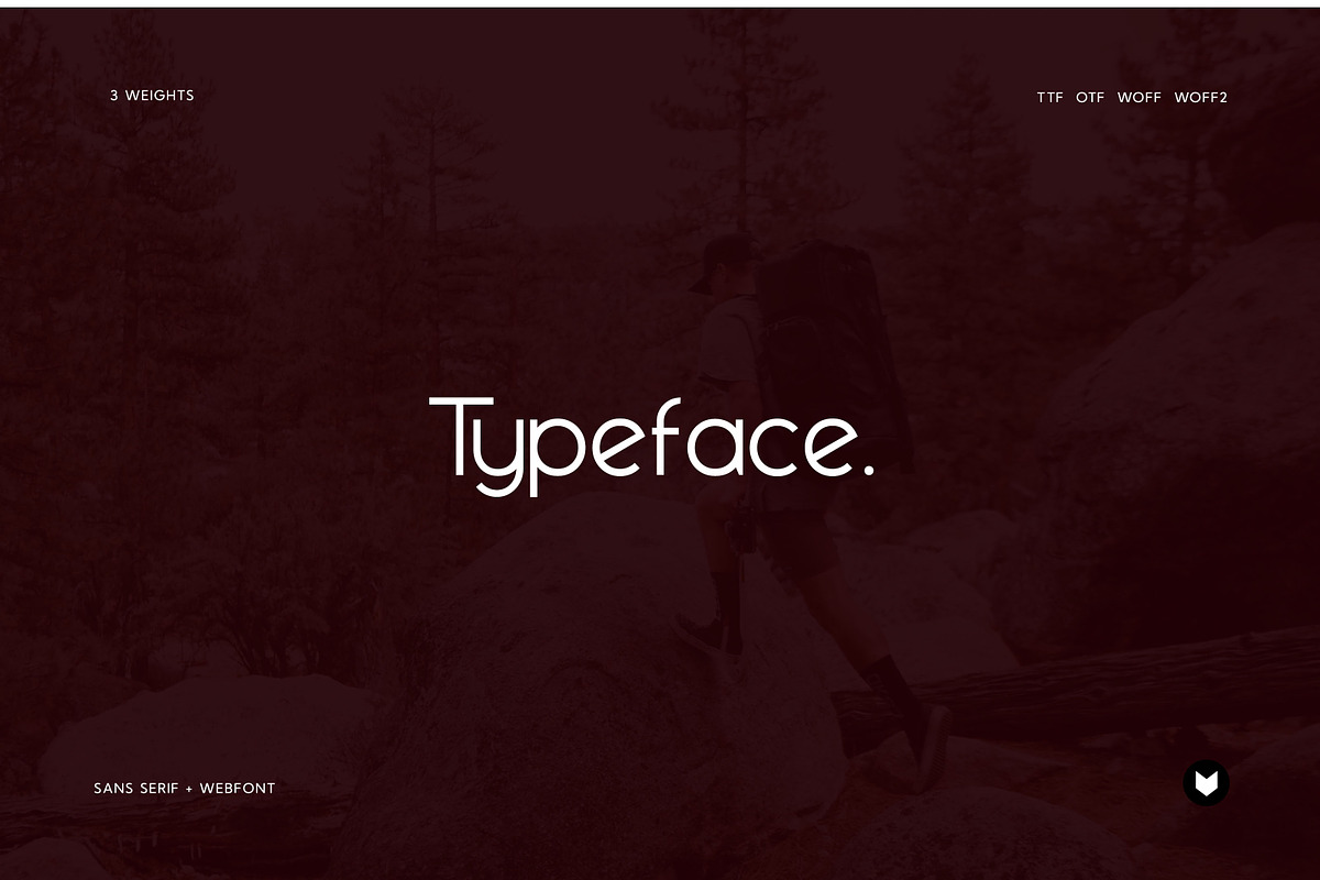 Garold Elegant Typeface, a Font by Foxtype (Photo 6 of 8)