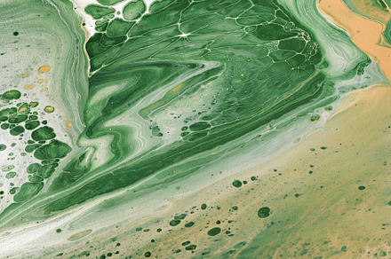 Acrylic Fluid Art. Natural green and yellow colors flow on canvas. Digital deco, an Abstract Photo by colnihko