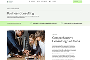 Accounting and Management Consulting, a WordPress Template by MasterDesigns (Thumbnail 3 of 10)