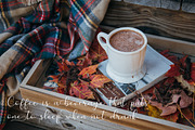 Merlin Script, a Script Font by Uloel Design (Thumbnail 6 of 8)