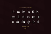 Liftens Elegant Serif Font, a Serif Font by Graphicxell (Thumbnail 8 of 8)