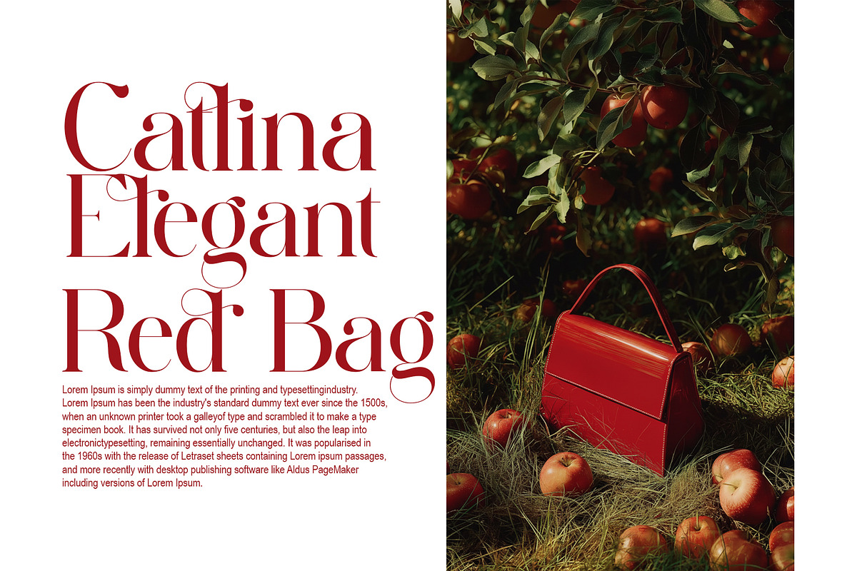 Sabila Modern Ligature Serif, a Serif Font by Alfinart (Photo 6 of 11)