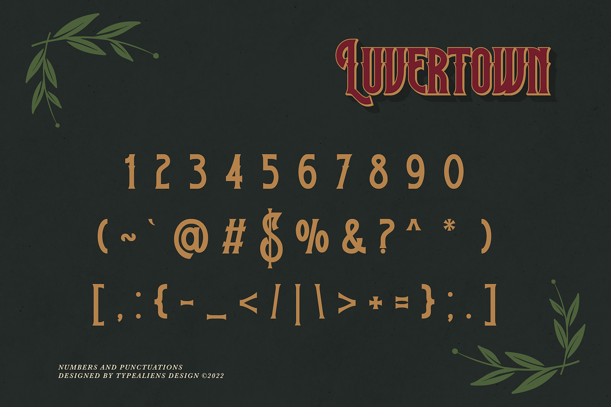 Luvertown, a Serif Font by ilhamtaro (Photo 8 of 11)