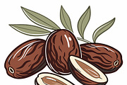Ripe dates leaves and sliced fruit, a Food Illustration by SouravDesign (Thumbnail 3 of 3)