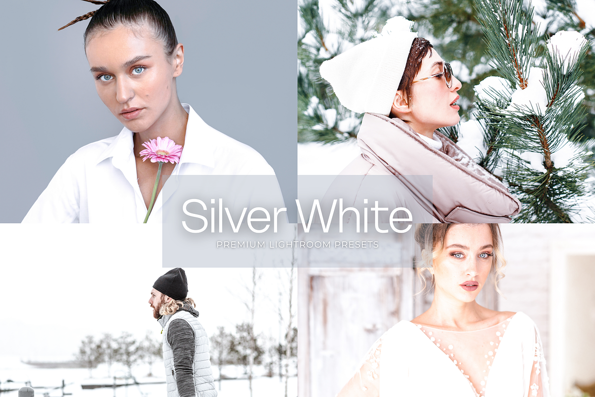 10 Silver White Lightroom Presets, a Preset Add-On by RamsaGraphi (Photo 1 of 10)