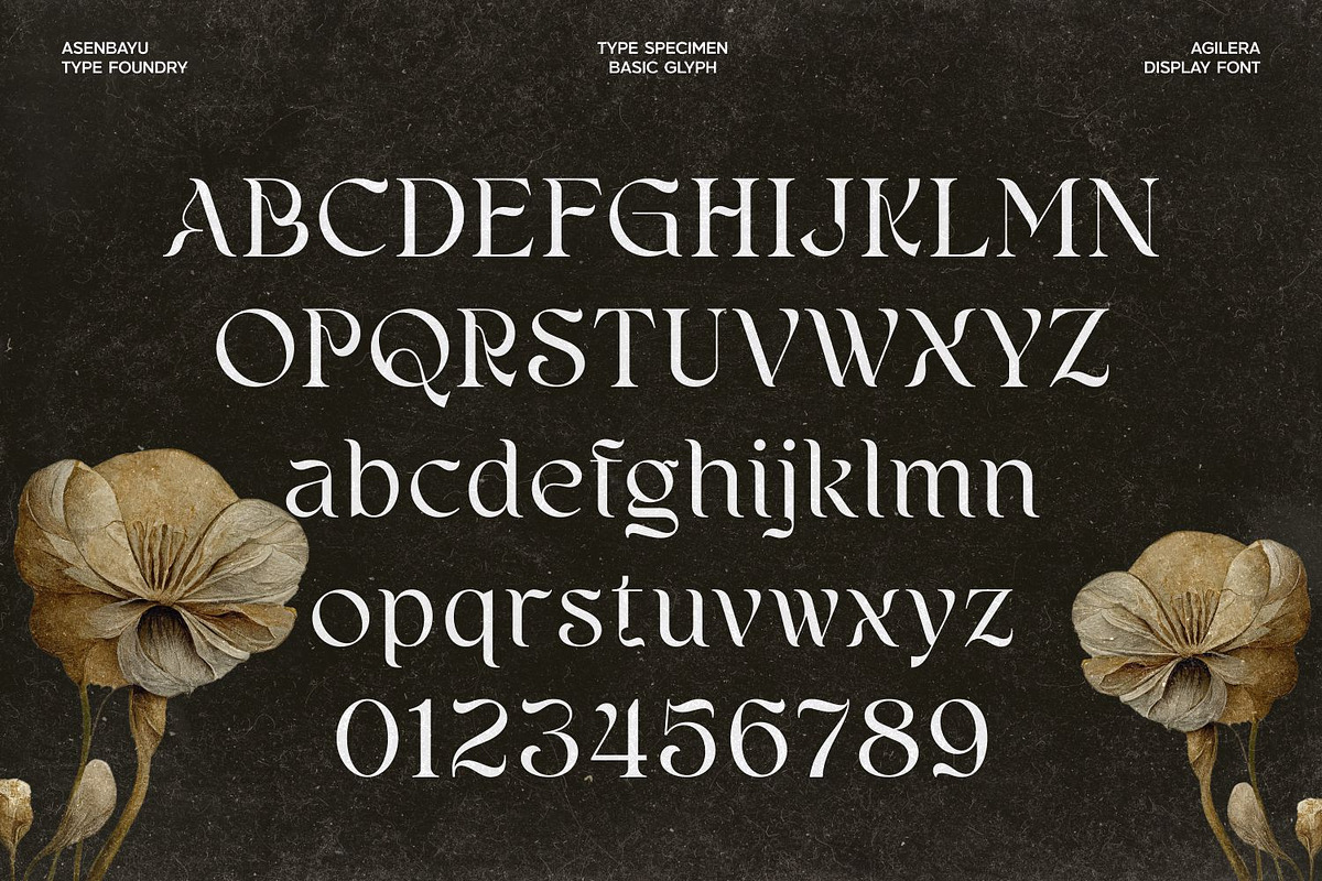 Agilera - Stylish Ligature Font, a Serif Font by Asenbayu (Photo 5 of 15)