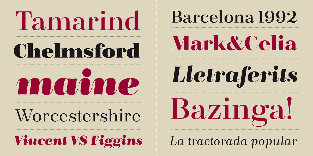 Bridone, a Serif Font by Tipo Pépel (Photo 3 of 7)