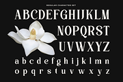 Kinder Land - Elegant Serif Font, a Serif Font by Say Studio (Thumbnail 7 of 9)