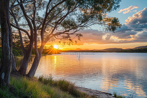 Sunset over Noosa Heads Bay with tre, a Photo by Iftikhar Alam