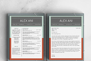 Alex Ani Modern 2-Page Resume, a Resume Template by Stand Out Shop (Thumbnail 4 of 4)