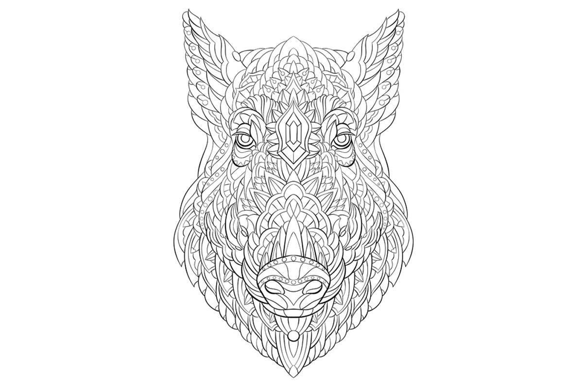 Ethnic Collection: Boar, an Animal Illustration by ArtoJoy (Photo 5 of 6)