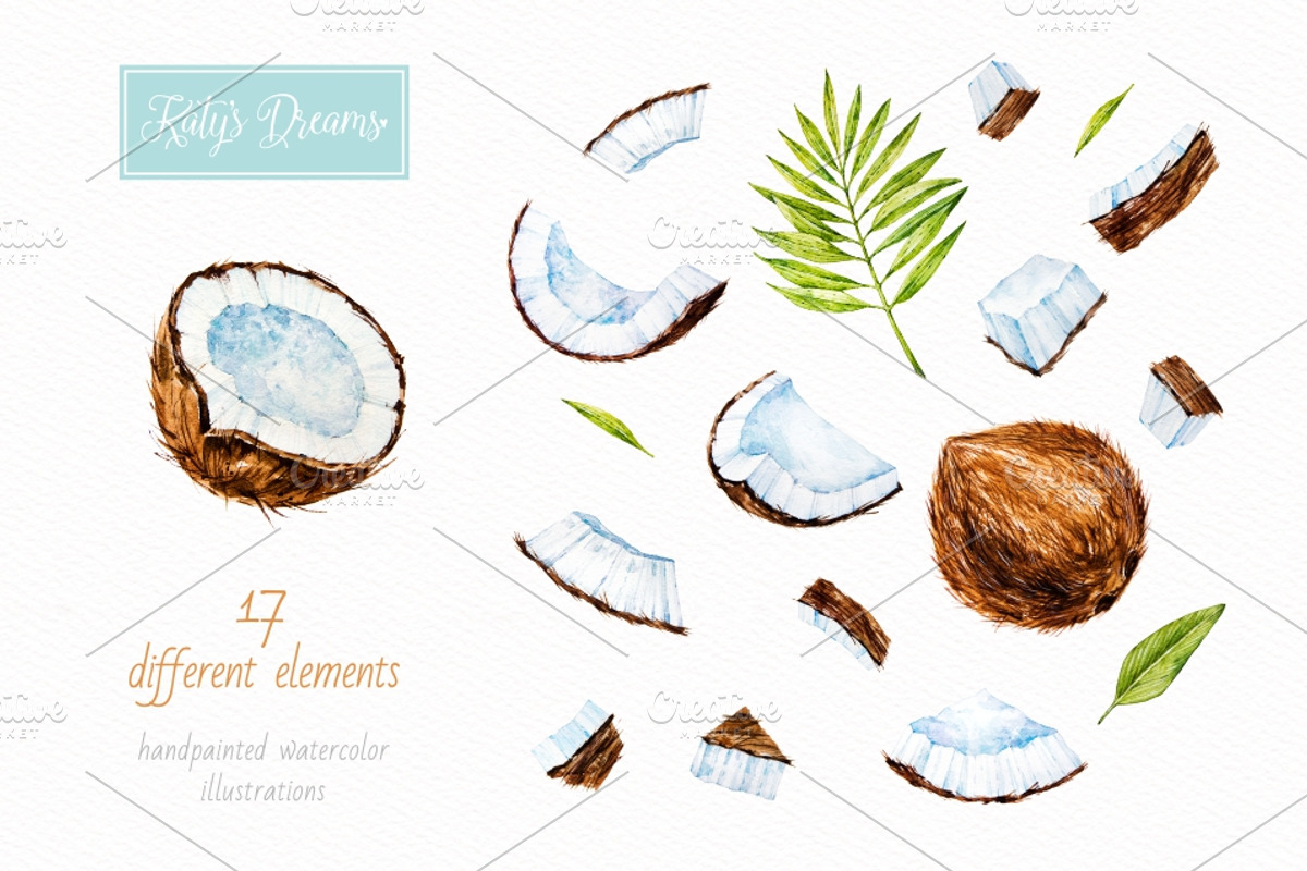 Coconut. Watercolor., a Decorative Illustration by Ekaterina Mikheeva (Photo 2 of 5)