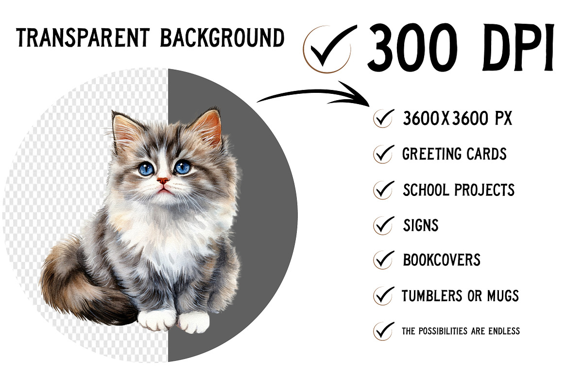 Watercolor Cat Clipart, an Illustration by Craft Nest (Photo 2 of 12)