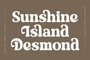 Daylist Beach Retro Serif Font, a Serif Font by Letterena Studios (Thumbnail 9 of 15)