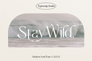 Stay Wild Serif Display, a Serif Font by Typetemp Studio