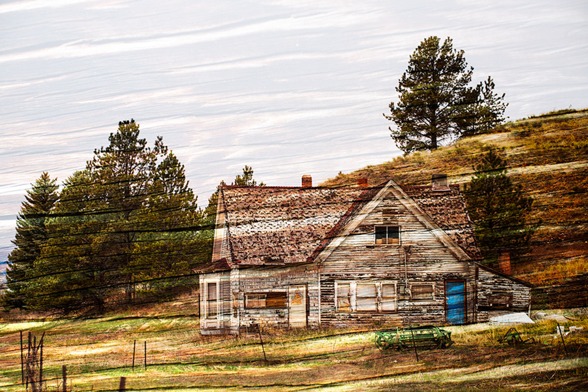 Wood Grain Overlay / Texture Pack 1, a Texture Graphic by Ryan McGehee (Photo 3 of 13)