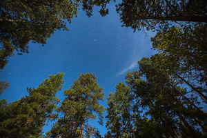 Sedona Starry Night
