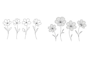 Detailed line drawing of flowers in, an Illustration by ZinetroN