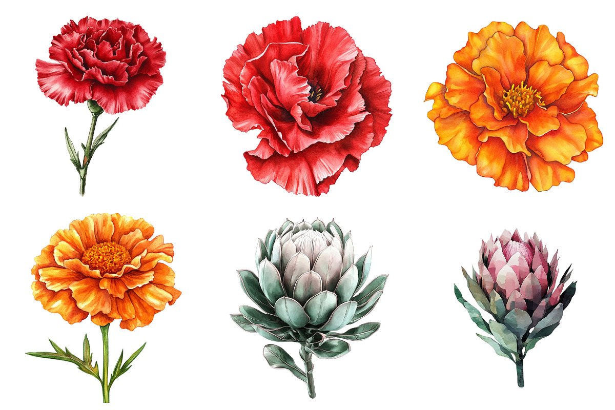 Various Flowers Clipart, an Illustration by Watercolor design (Photo 4 of 4)