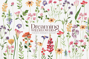 Dreaming Watercolor WILDFLOWER, a Decorative Illustration by Beigetime
