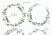 Watercolor eucalyptus clipart, an Illustration by OrangePeafowlArt (Thumbnail 4 of 10)