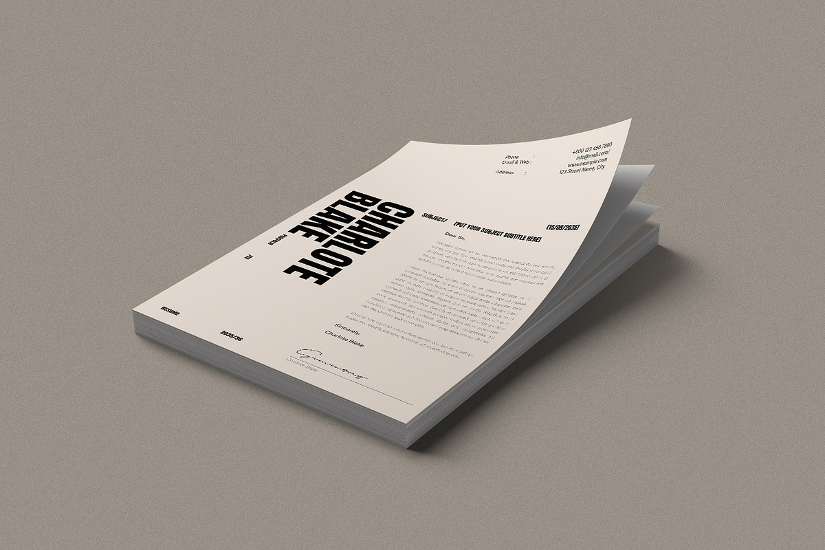 Professional CV, Resume Template, a Resume Template by DesignCrest (Photo 9 of 9)