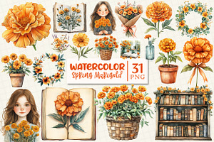 Spring Marigold Clipart, a Work Illustration by OK Design