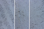 Asphalt markings textures volume 02, a Texture Graphic by The Shop (Thumbnail 7 of 14)