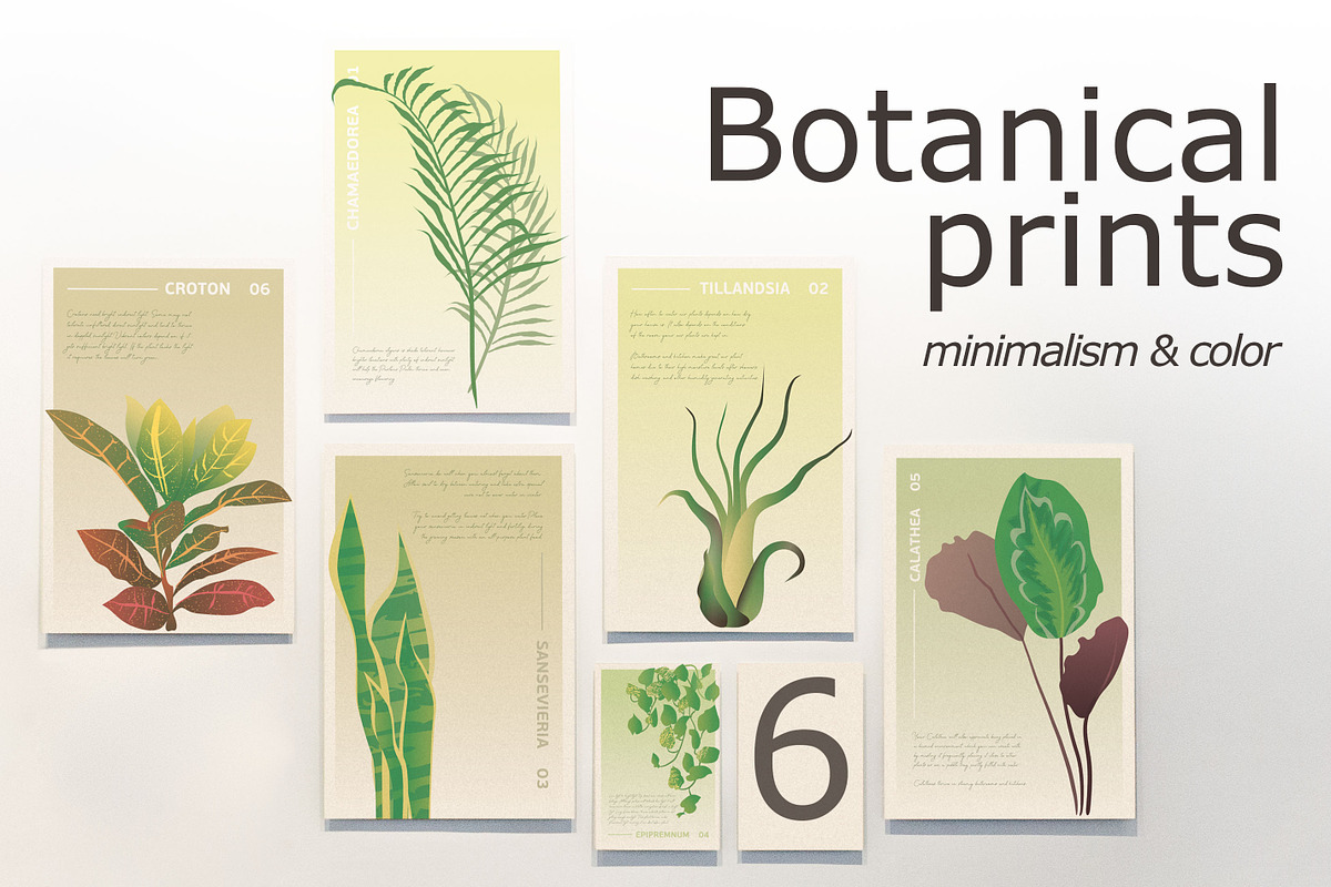 6 House Plants | Botanical Bundle, a Decorative Illustration by Lines And Crafts (Photo 1 of 7)