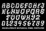 Violath typeface - Bonus Serif Font, a Font by HeyFonts (Thumbnail 5 of 10)