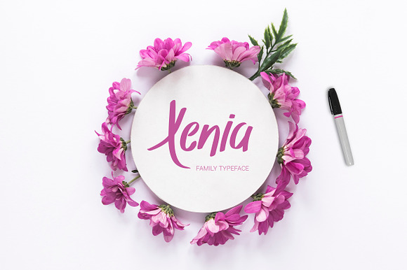 Xenia Family Typeface preview 7