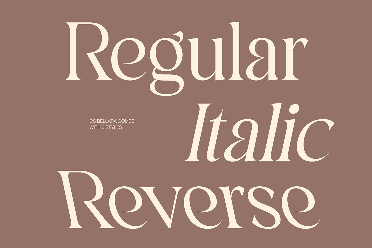 CS Bellara – Modern Serif Font, a Serif Font by Craft Supply Co. (Photo 3 of 8)