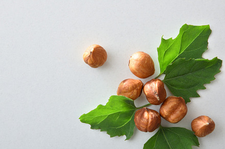 Group of helled hazelnuts and leaves isolated on white backgroun, a Food & Drink Photo by Davizro's Market