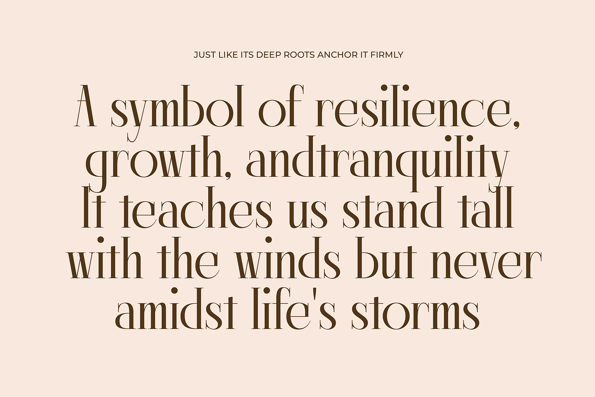 Lagona Display Typeface Serif Font, a Serif Font by timelesstype.co (Photo 6 of 20)
