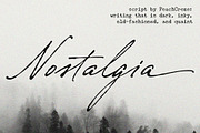 Nostalgia // Vintage Script Font, a Script Font by PeachCreme (Thumbnail 15 of 15)